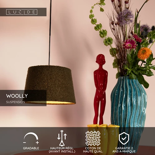 Lucide WOOLLY - Suspension - Ø 28 cm - 1xE27 - Vert - USP